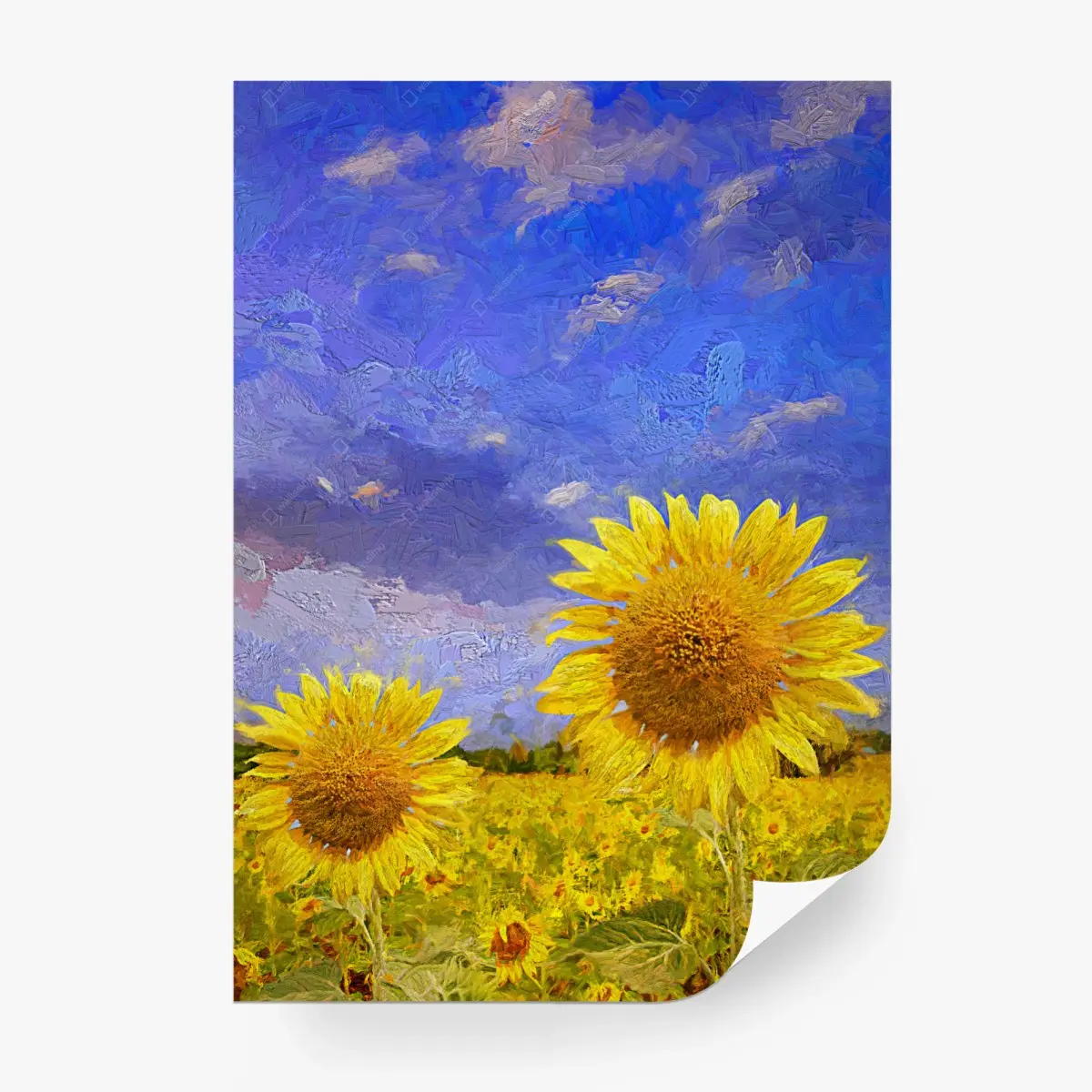 Fototapete goldenes sonnenblumenfeld unter abendhimmel – Wallnifity®