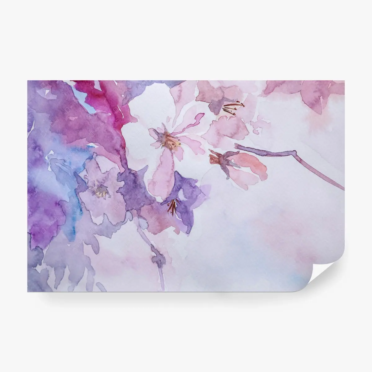 Fototapete zarte aquarellblumen – Wallnifity®