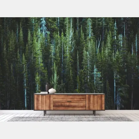 Fototapete ruhiger türkissee und immergrüner wald – Wallnifity®