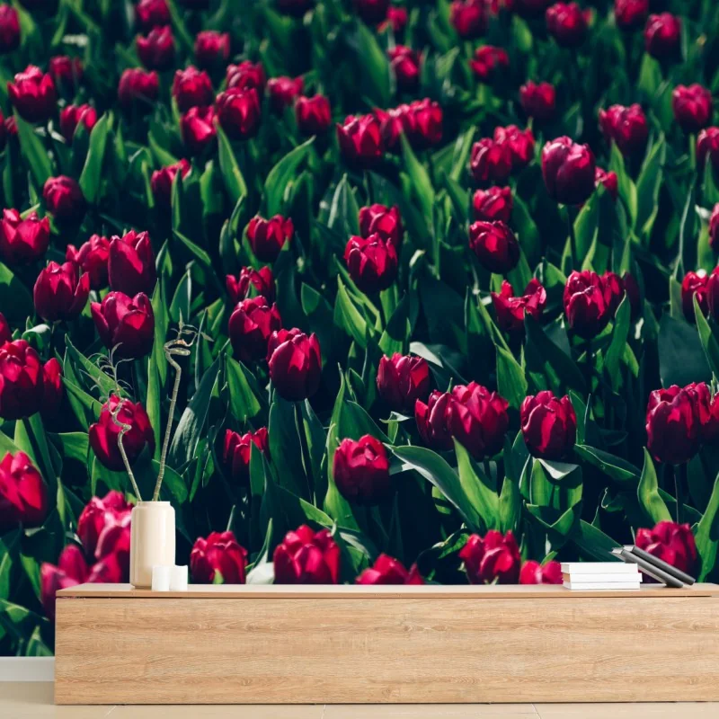Fototapete feld roter tulpen – Wallnifity® Fototapete feld roter tulpen – Wallnifity®