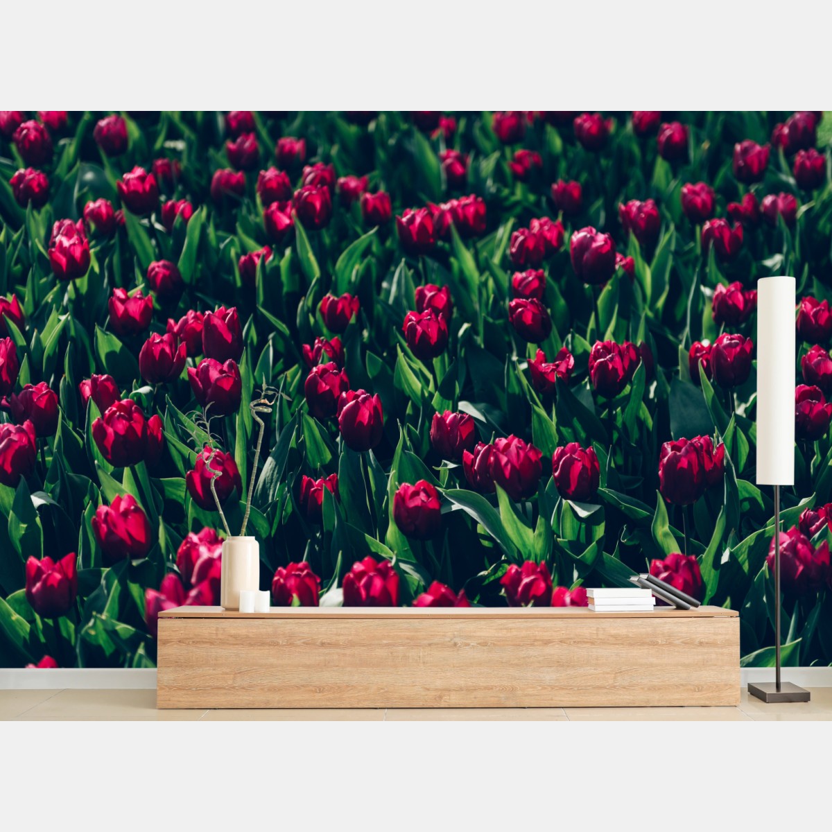 Fototapete feld roter tulpen – Wallnifity®