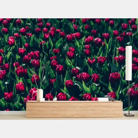 Fototapete feld roter tulpen – Wallnifity®