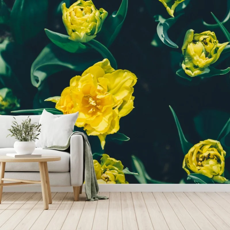 Fototapete leuchtende gelbe tulpen im nahblick – Wallnifity®