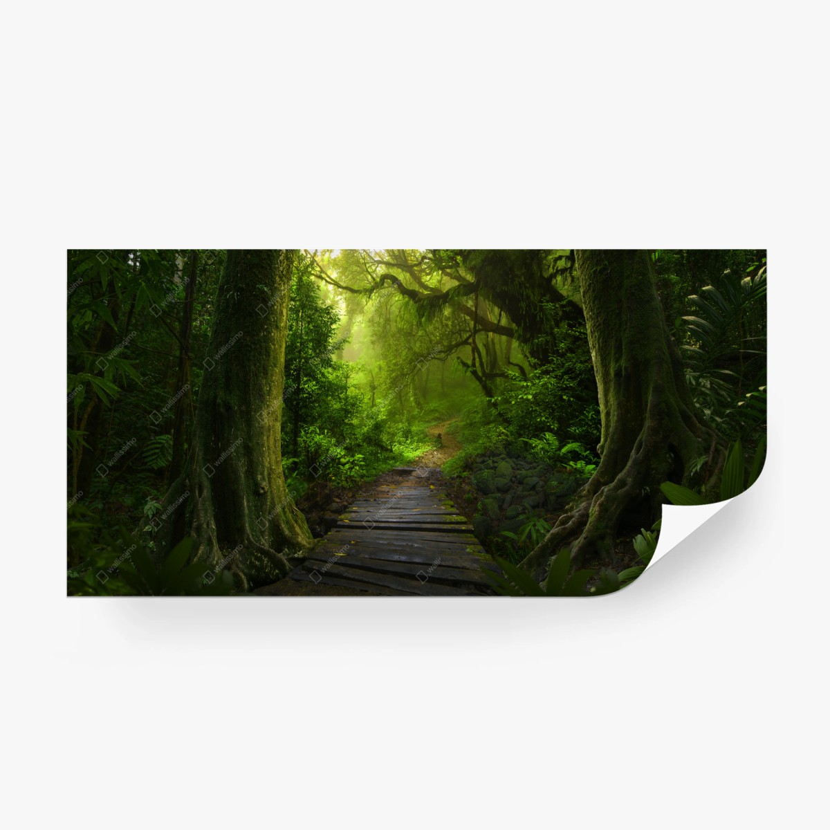 Fototapete smaragdgrüner waldpfad – Wallnifity®