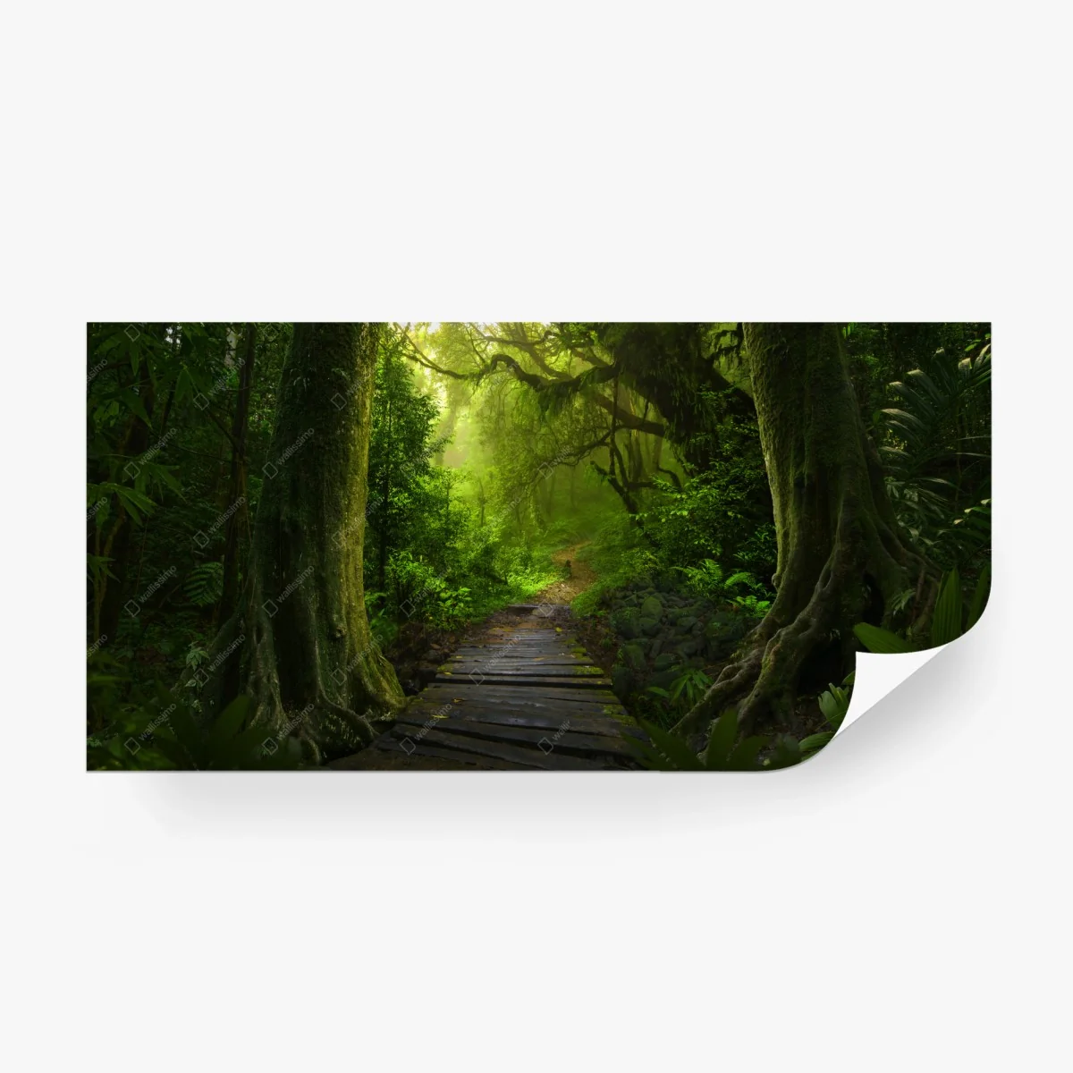 Fototapete smaragdgrüner waldpfad – Wallnifity® Fototapete smaragdgrüner waldpfad – Wallnifity®