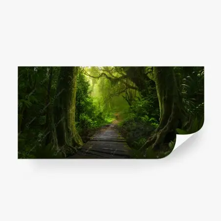 Fototapete smaragdgrüner waldpfad – Wallnifity®