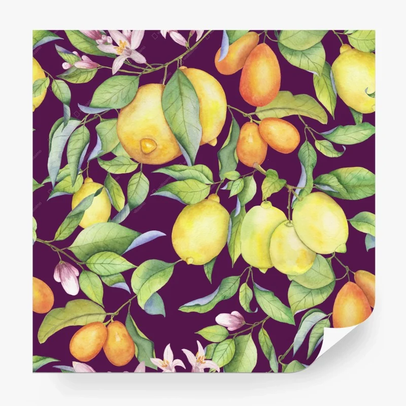 Obst & Gemüse – Wallnifity®