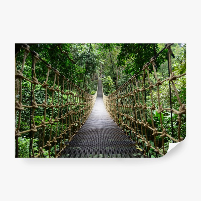 Fototapeten – Wallnifity®