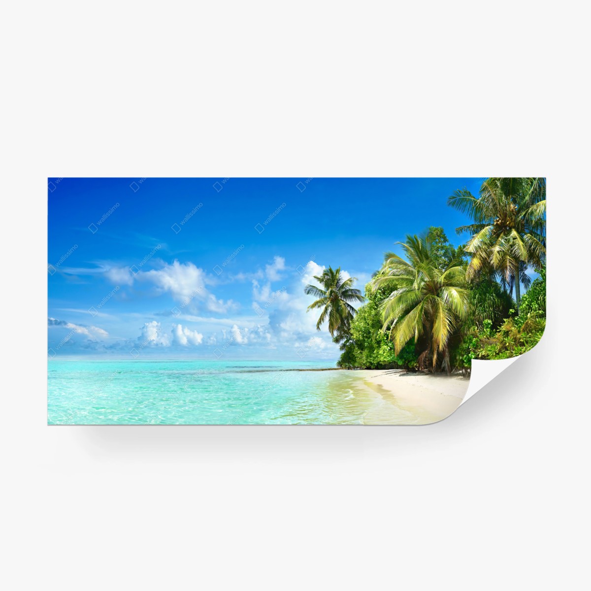 Fototapete tropischer strand auf den Malediven – Wallnifity®