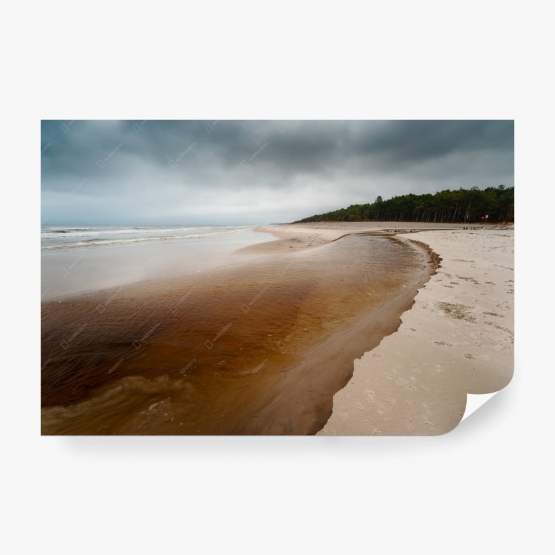 Minimalistisch – Wallnifity®