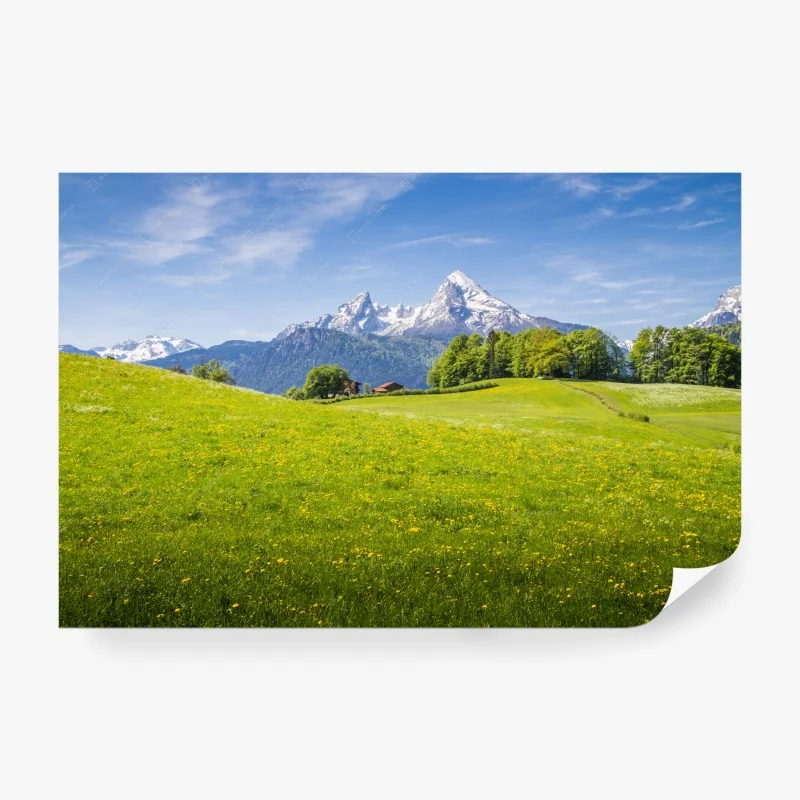 Fototapete nebliger immergrüner wald – Wallnifity®