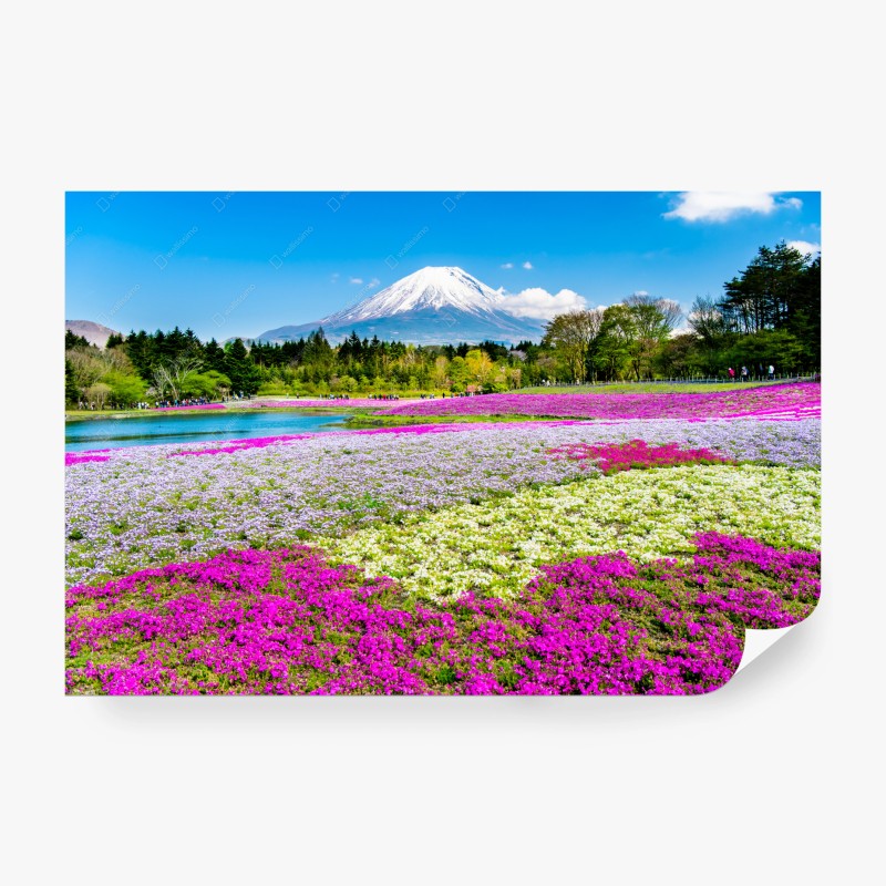 Wohnzimmer – Wallnifity®