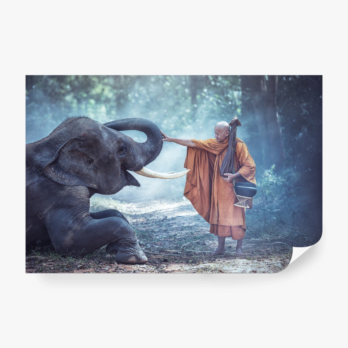 Fototapete buddhistischer mönch und elefant in Thailand – Wallnifity®