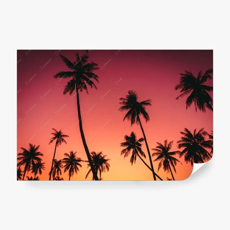 Vintage – Wallnifity®