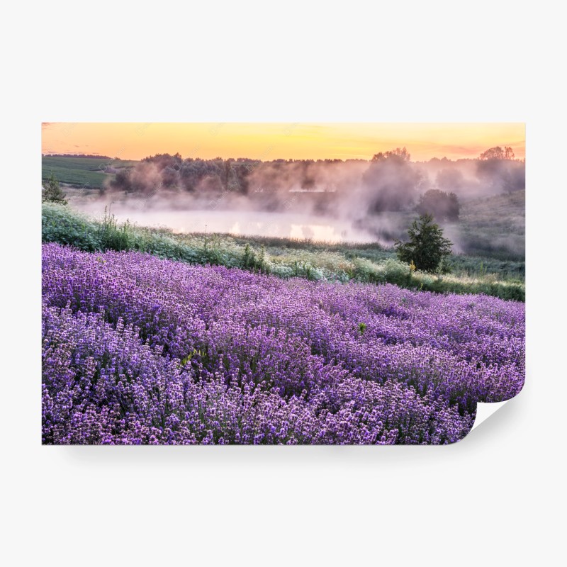 Fototapeten – Wallnifity®