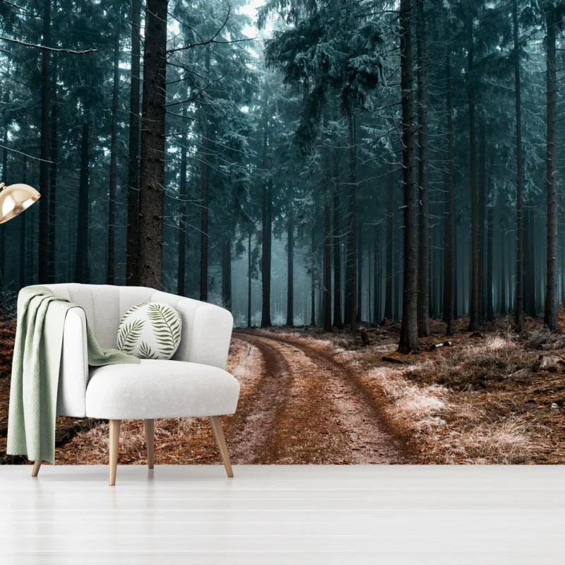 Fototapete nebliger waldweg zwischen kiefern – Wallnifity®