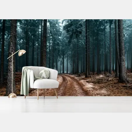 Fototapete nebliger waldweg zwischen kiefern – Wallnifity®