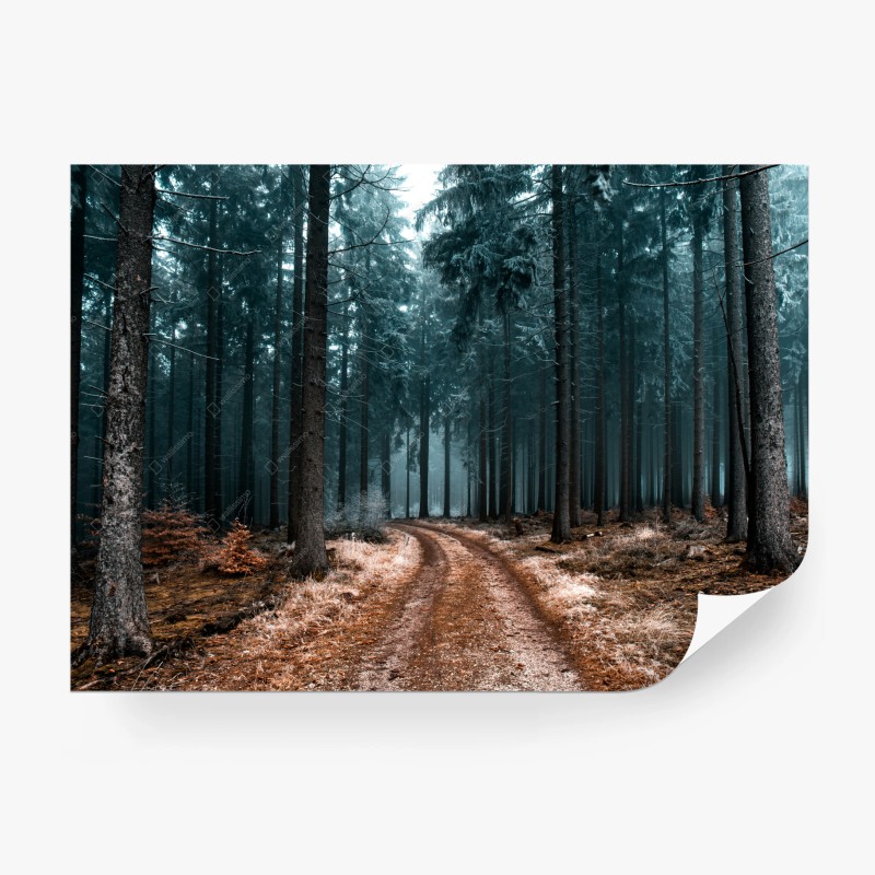 Natur – Wallnifity®