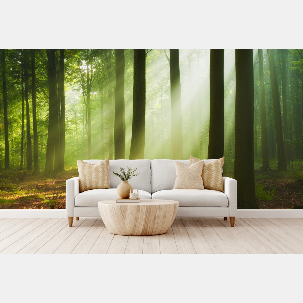 Fototapete sonniger morgen im wald – Wallnifity®
