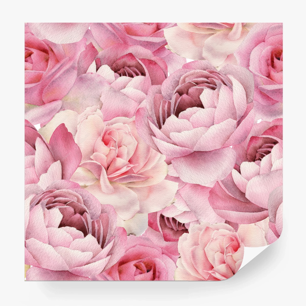 Fototapete zarte rosa rosen in aquarell – Wallnifity® Fototapete zarte rosa rosen in aquarell – Wallnifity®