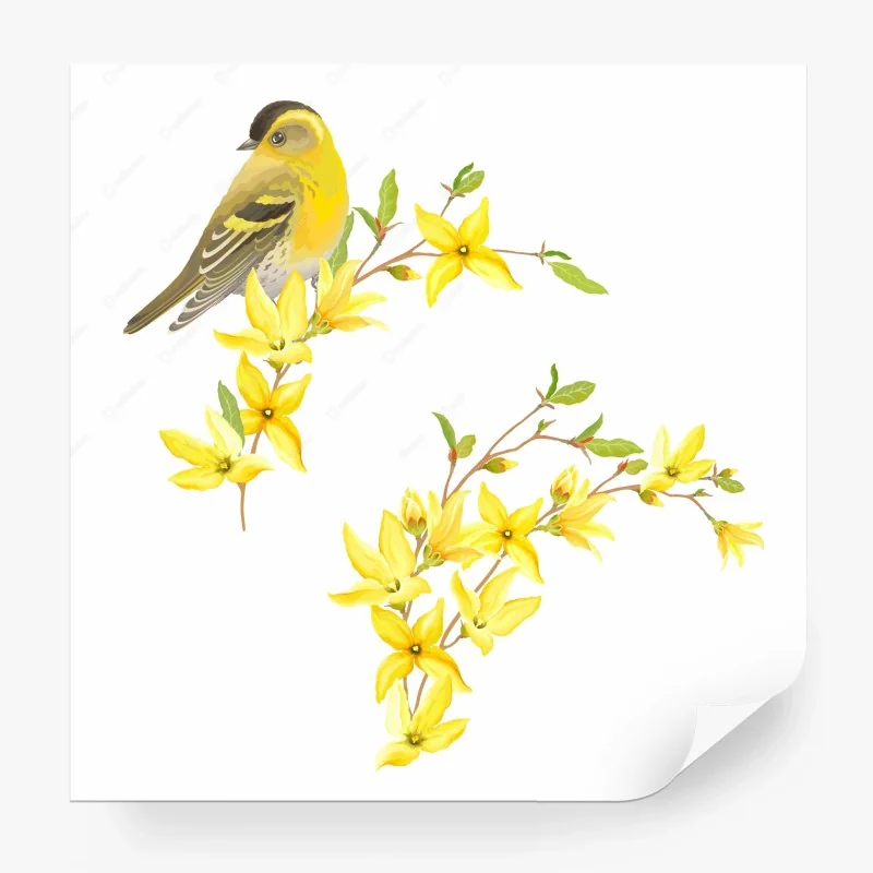 Blumen & Pflanzen – Wallnifity®