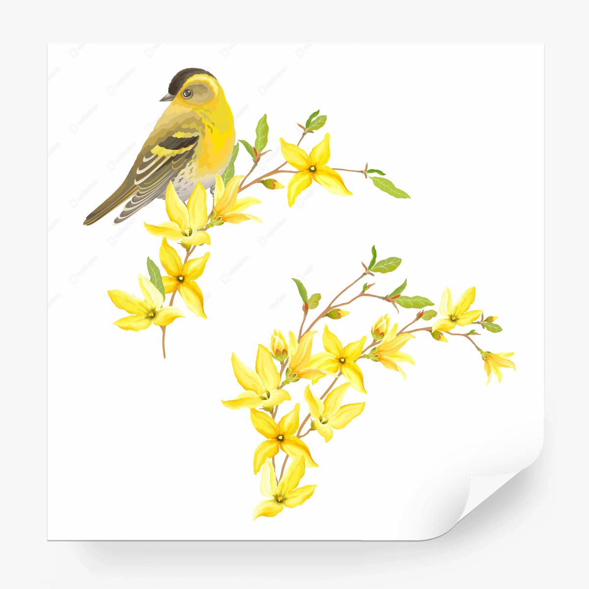 Fototapete gelber vogel und blumen aquarell – Wallnifity®