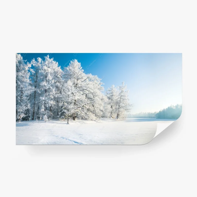 Jahreszeiten – Wallnifity®