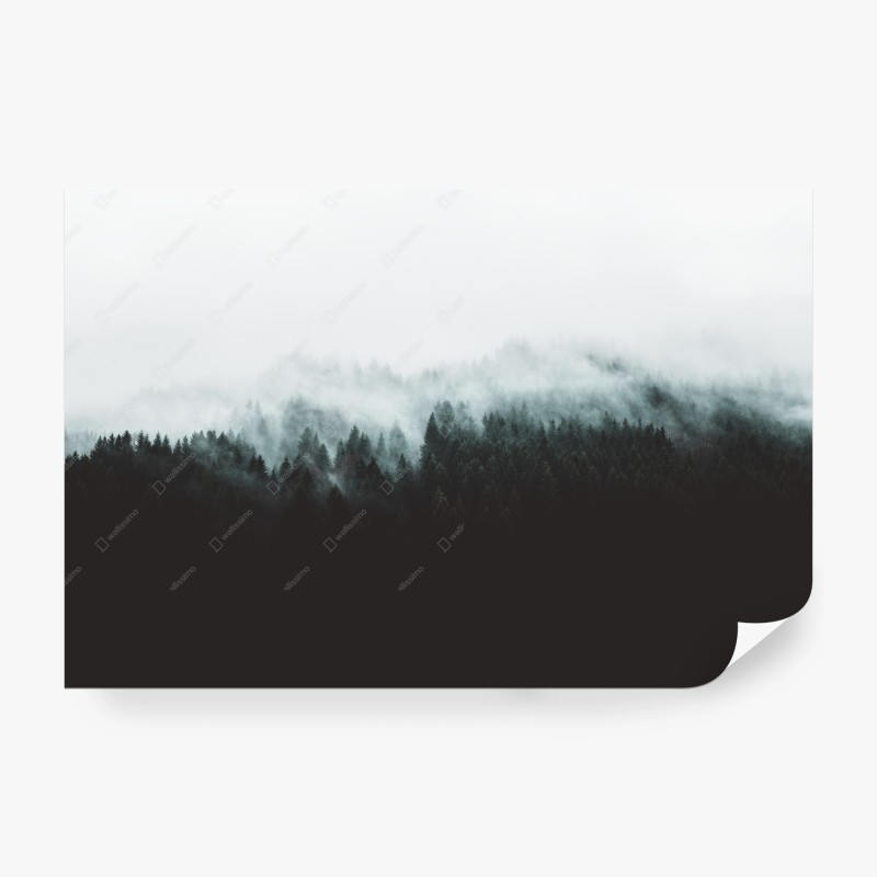 Natur – Wallnifity®
