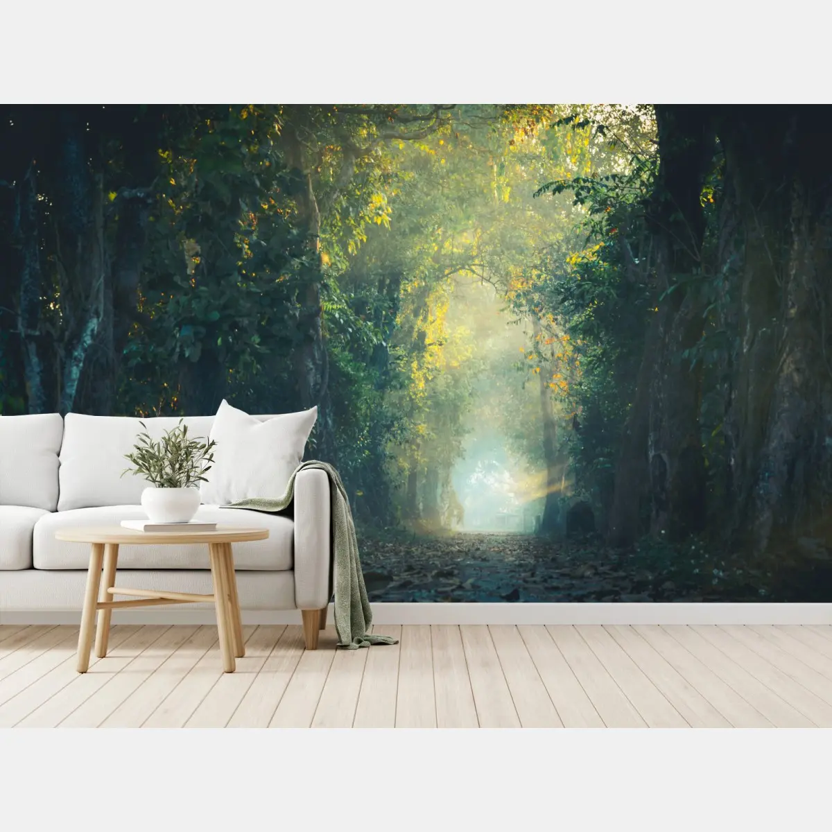 Fototapete verwunschener waldpfad mit sonnenstrahl – Wallnifity®