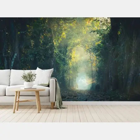 Fototapete verwunschener waldpfad mit sonnenstrahl – Wallnifity®