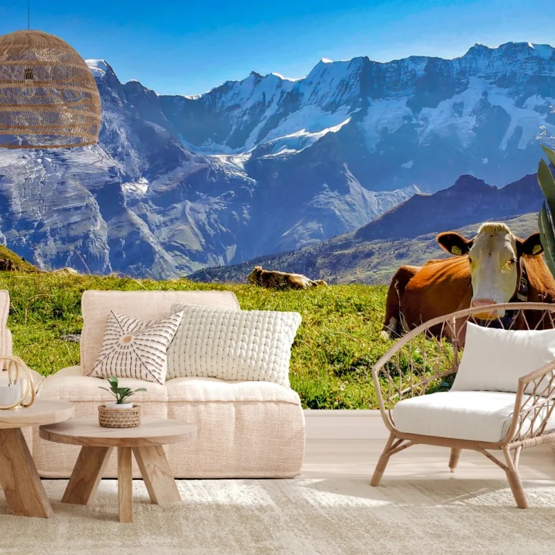 Fototapete alpenwiese mit ruhender kuh – Wallnifity®