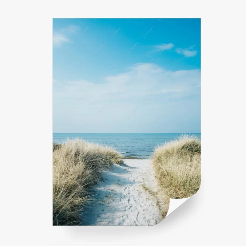 Strand – Wallnifity®