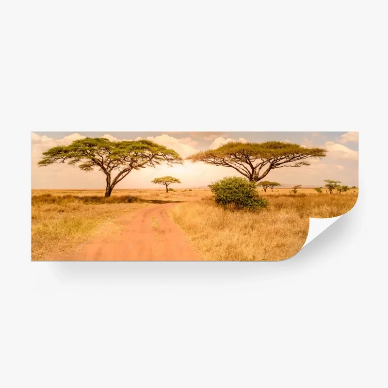 Fototapeten – Wallnifity®