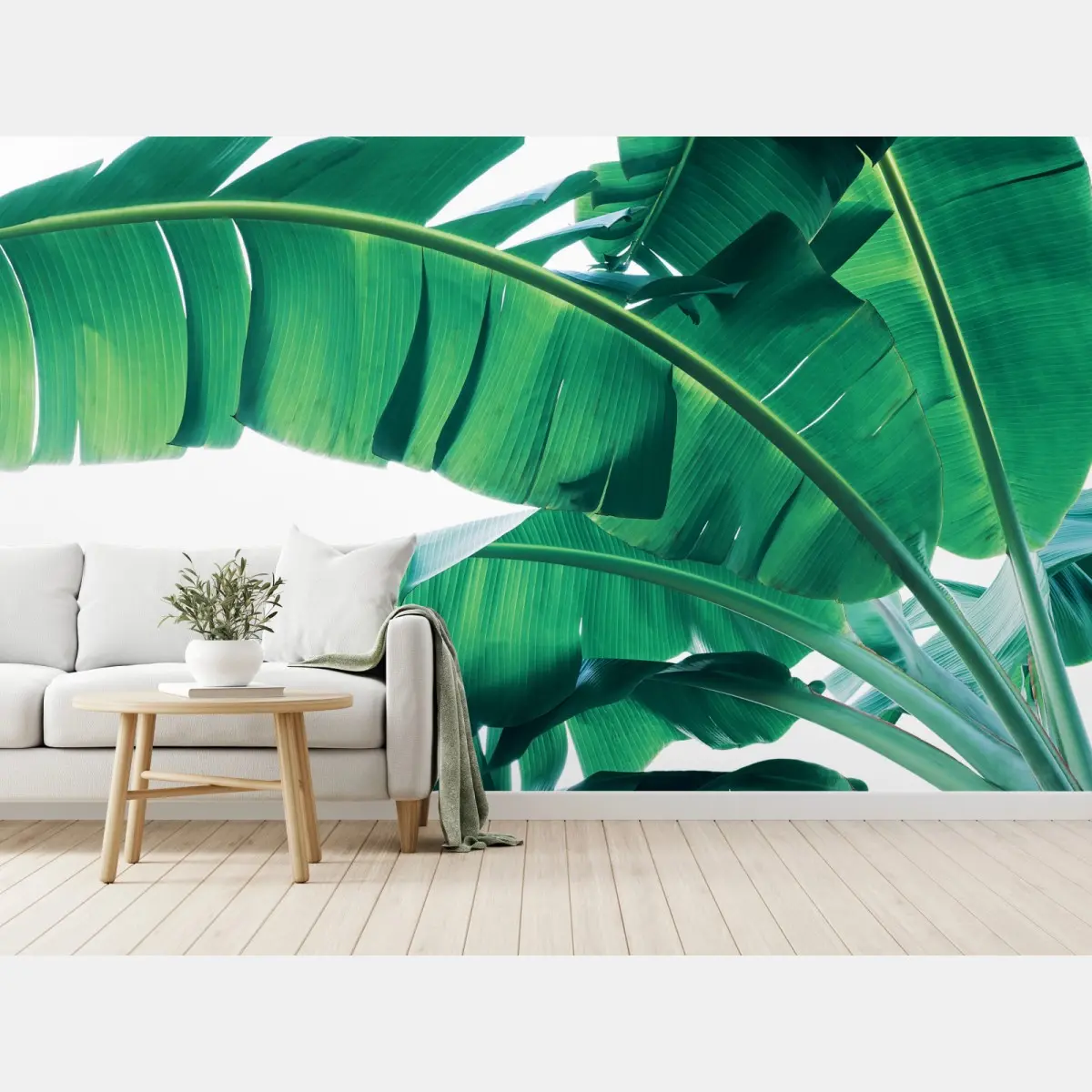Fototapete tropische bananenblätter – Wallnifity®