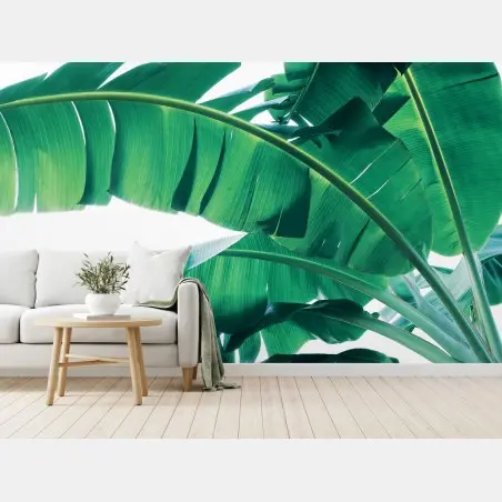 Fototapete tropische bananenblätter – Wallnifity®