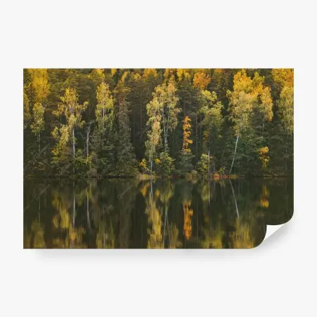 Fototapete herbstwald spiegelung im see – Wallnifity®
