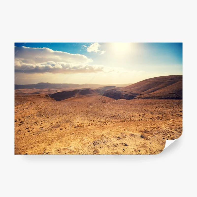 Wüste – Wallnifity®
