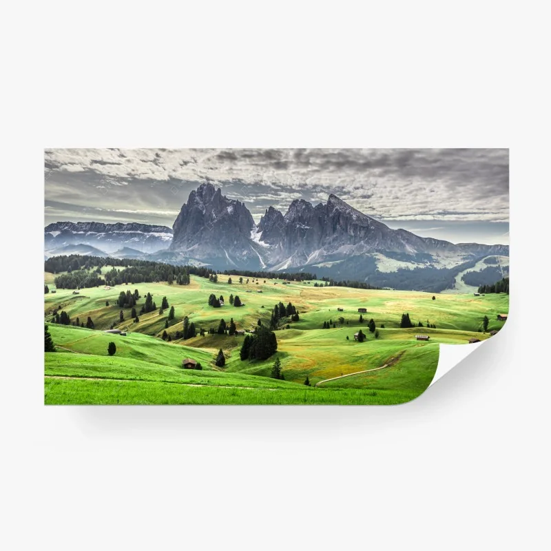 Fototapeten – Wallnifity®