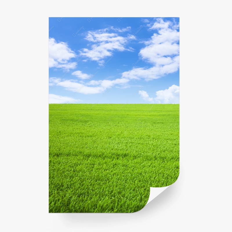 Fototapete endlose grüne wiese unter blauem himmel