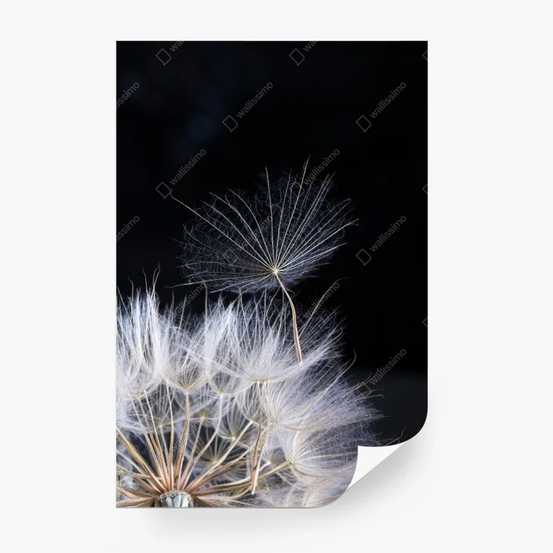 Blumen – Wallnifity®
