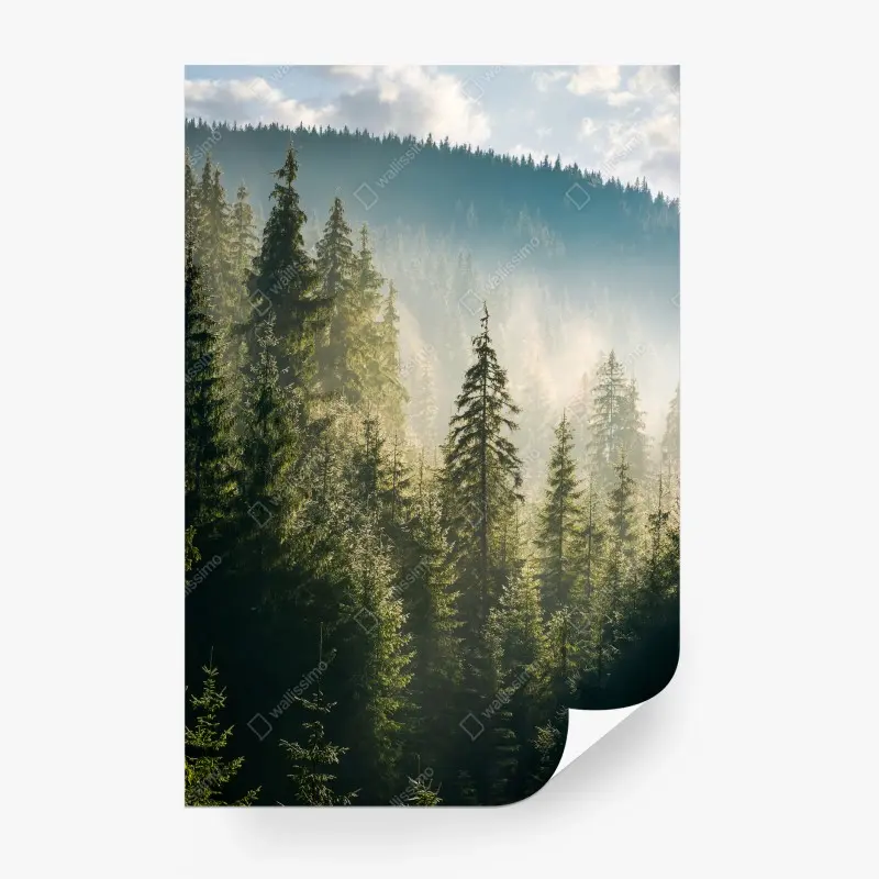 Natur – Wallnifity®