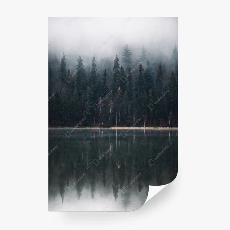 Fototapete neblige waldreflexion – Wallnifity® Fototapete neblige waldreflexion – Wallnifity®