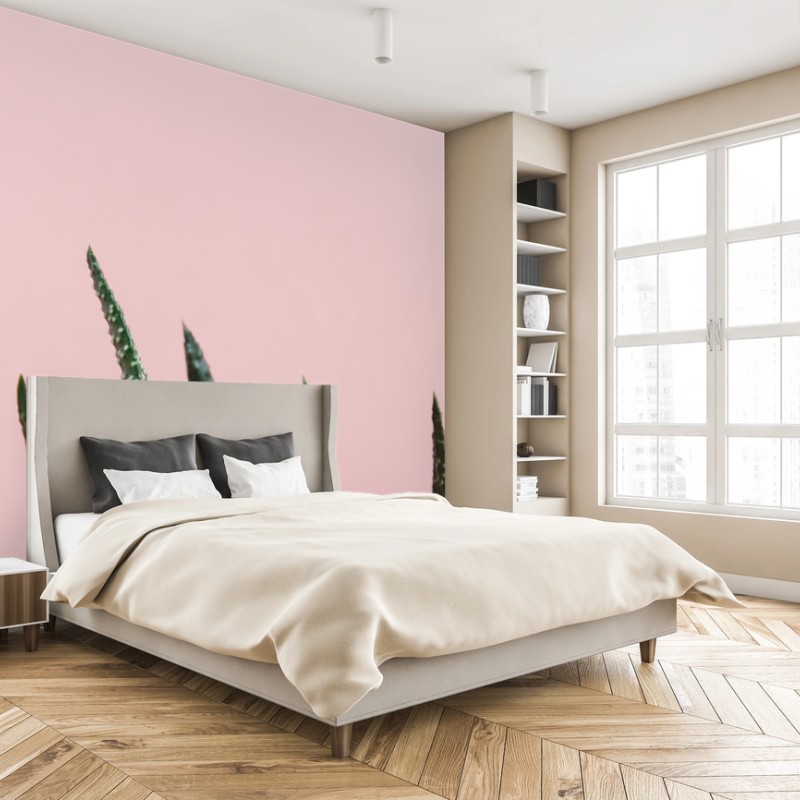 Fototapete grüner aloes auf rosa hintergrund