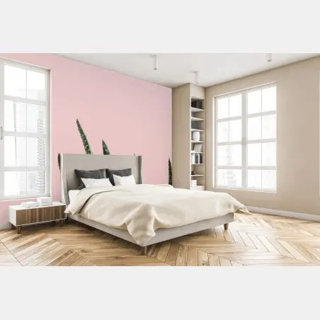 Fototapete grüner aloes auf rosa hintergrund – Wallnifity®