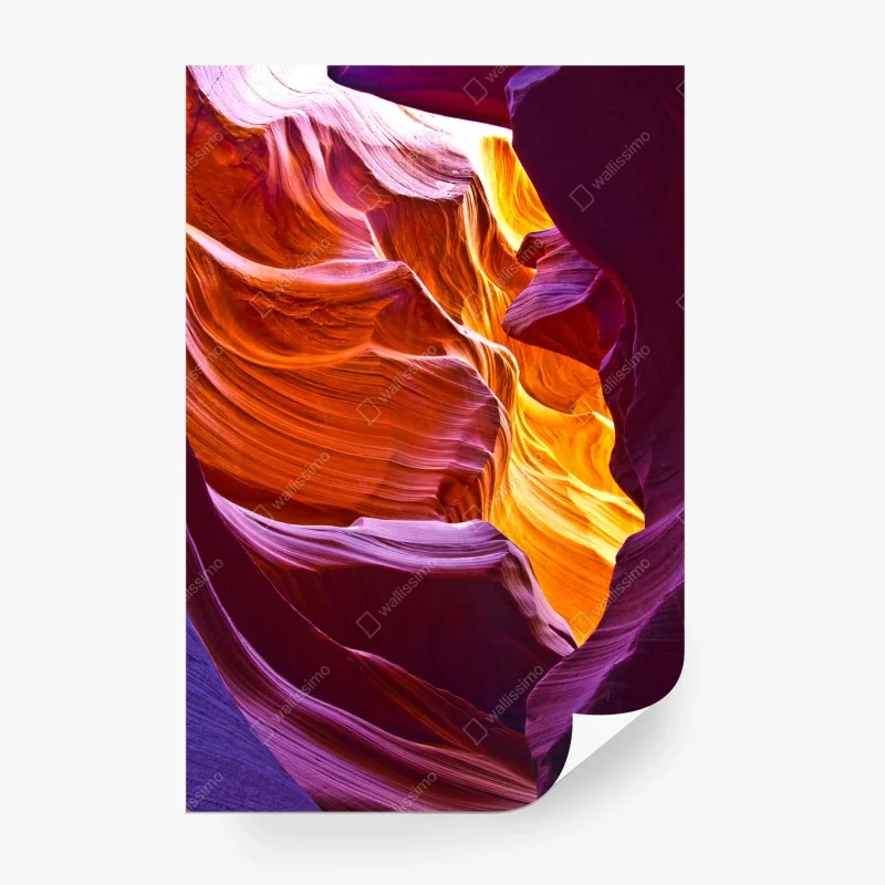 Wüste – Wallnifity®