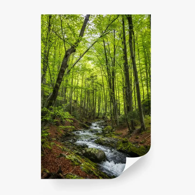 Wälder – Wallnifity®