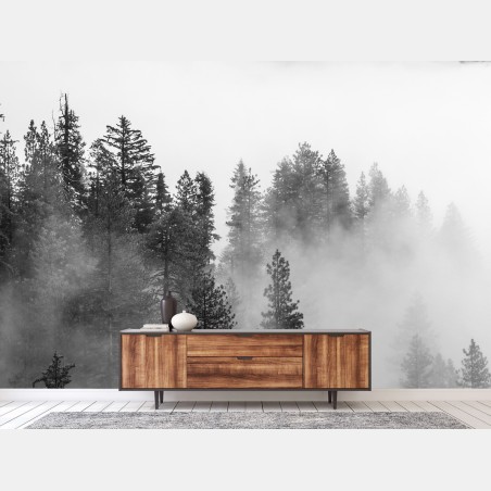 Fototapete nebliger Giant Forest, Sequoia National Park – Wallnifity®