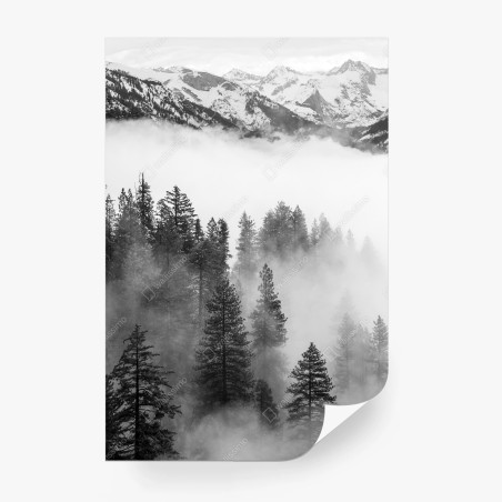 Fototapete nebliger Giant Forest, Sequoia National Park – Wallnifity®