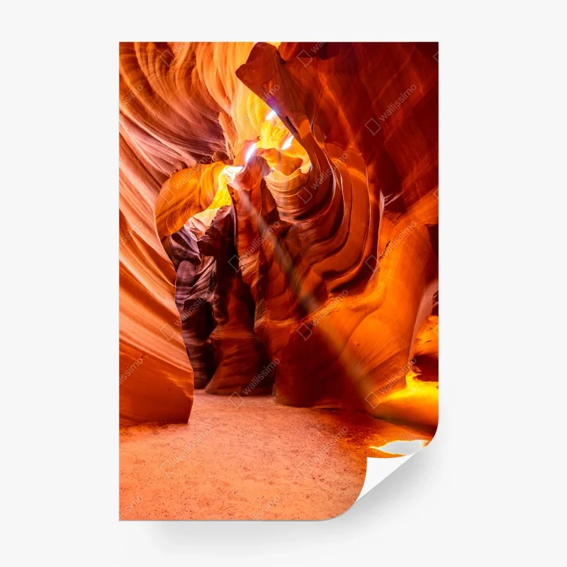Wüste – Wallnifity®