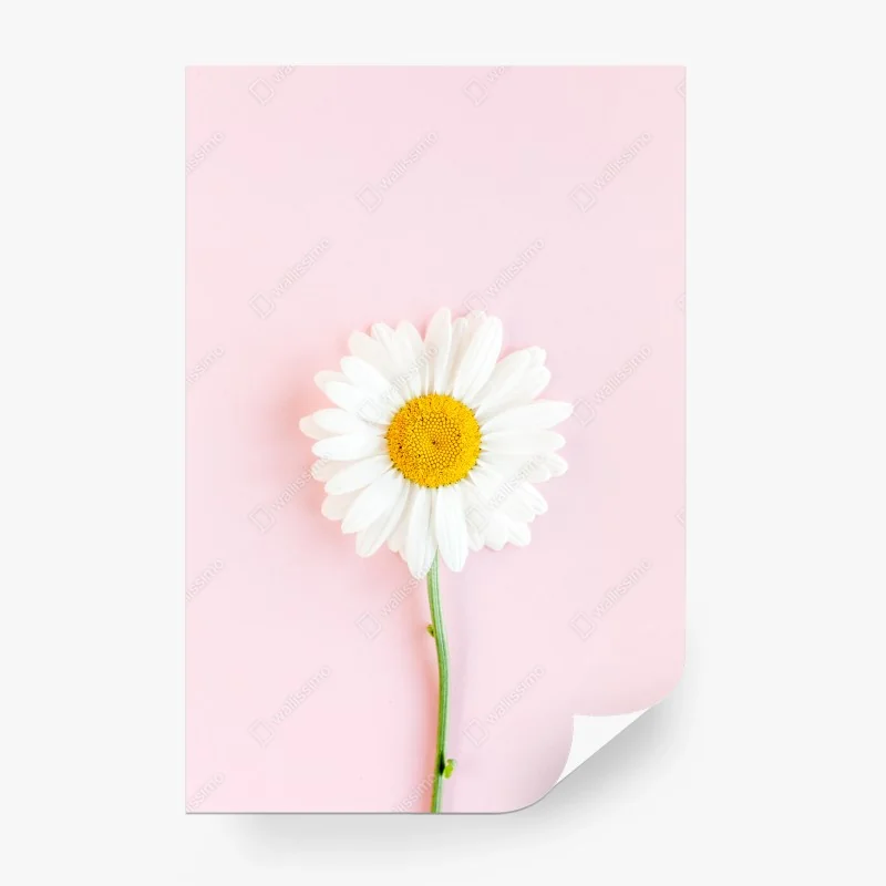 Blumen – Wallnifity®